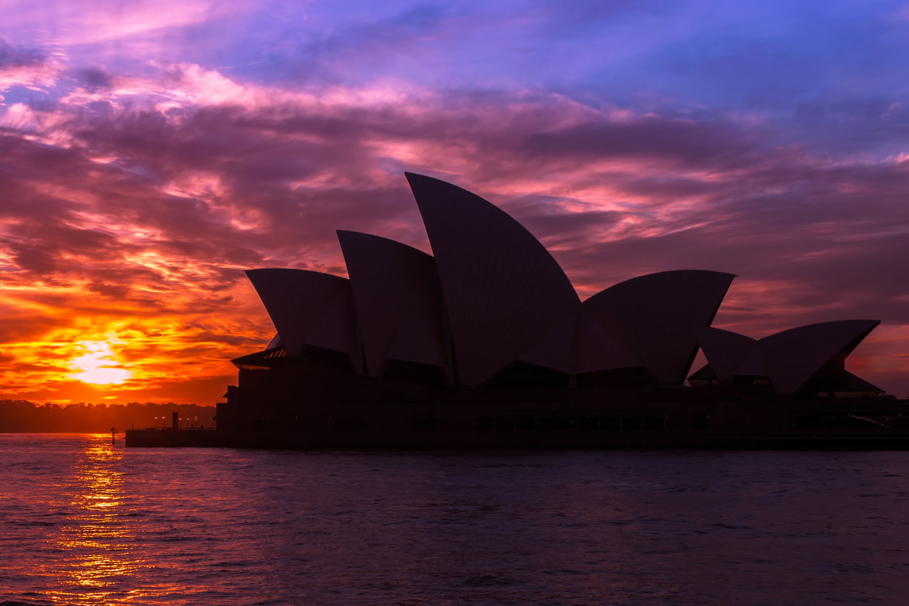 Distant Journeys Web Design